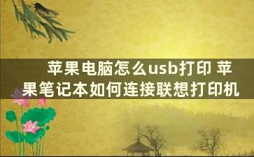 苹果电脑怎么usb打印 苹果笔记本如何连接联想打印机